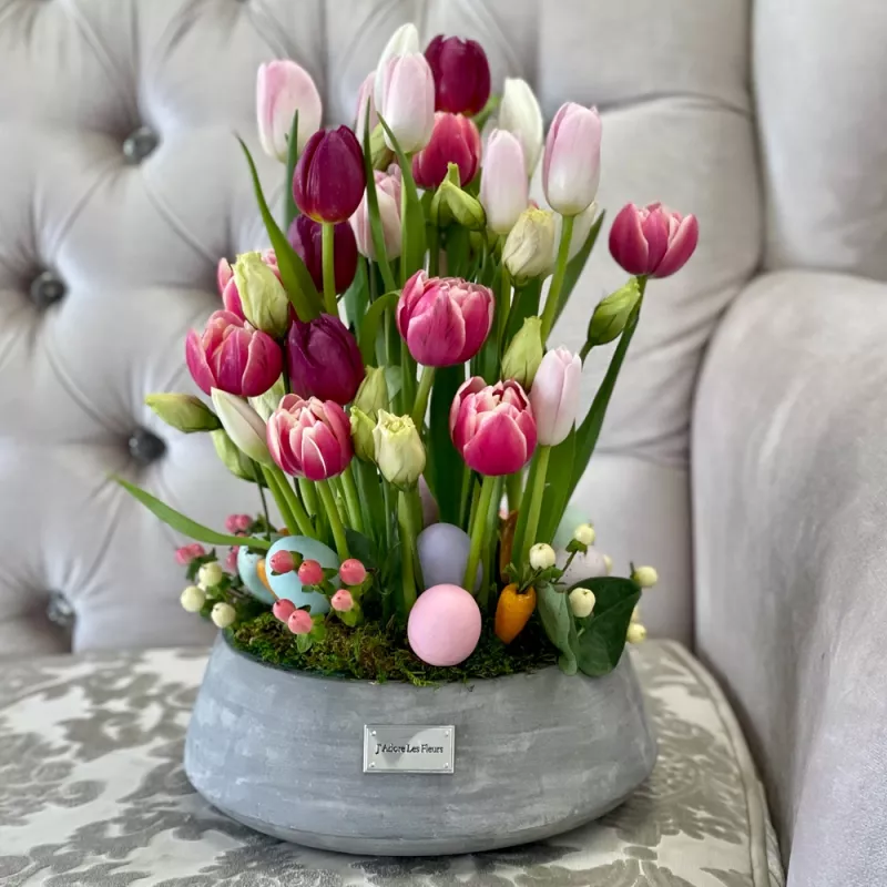 Jadore Bunny Hop Tulip Garden