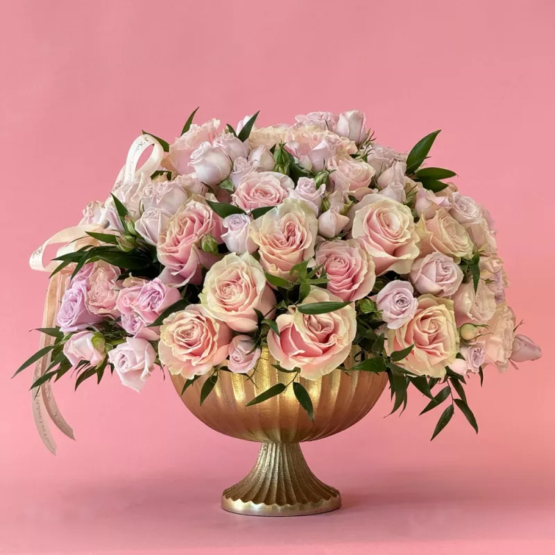 Jadore Blush Elegance