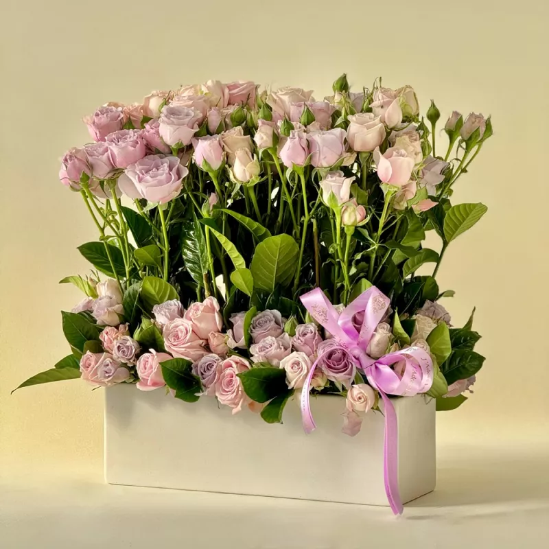 Jadore Lavender Dreamscape