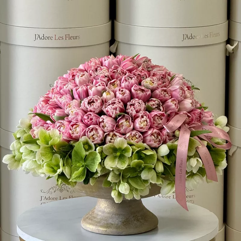 Jadore 100 Tulip Majesty