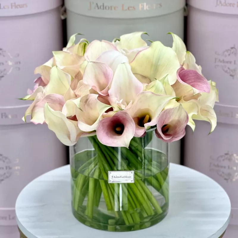 Jadore Calla Cascade