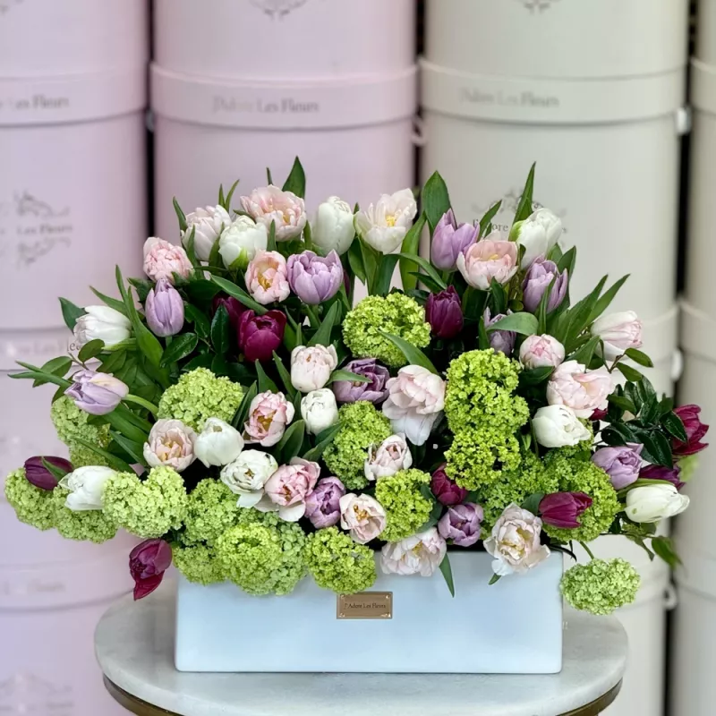 Jadore Step Into Nowruz