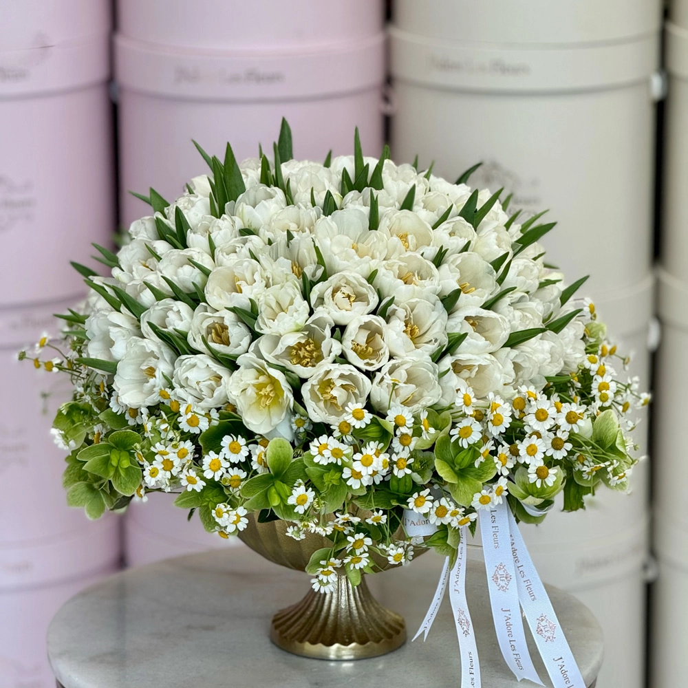 White Tulip Serenade