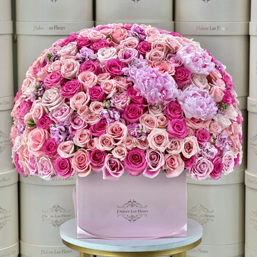 Pink Dreams in Paris
