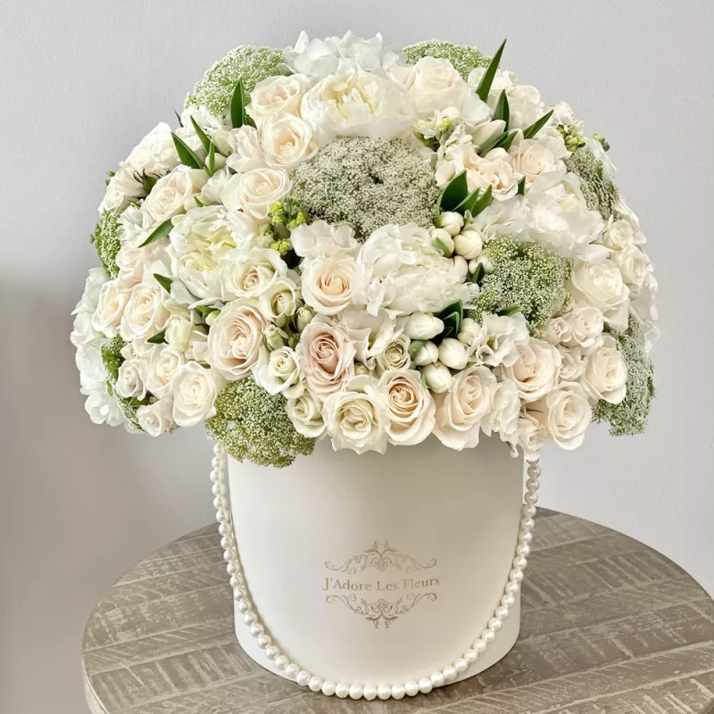 Jadore Ivory Elegance