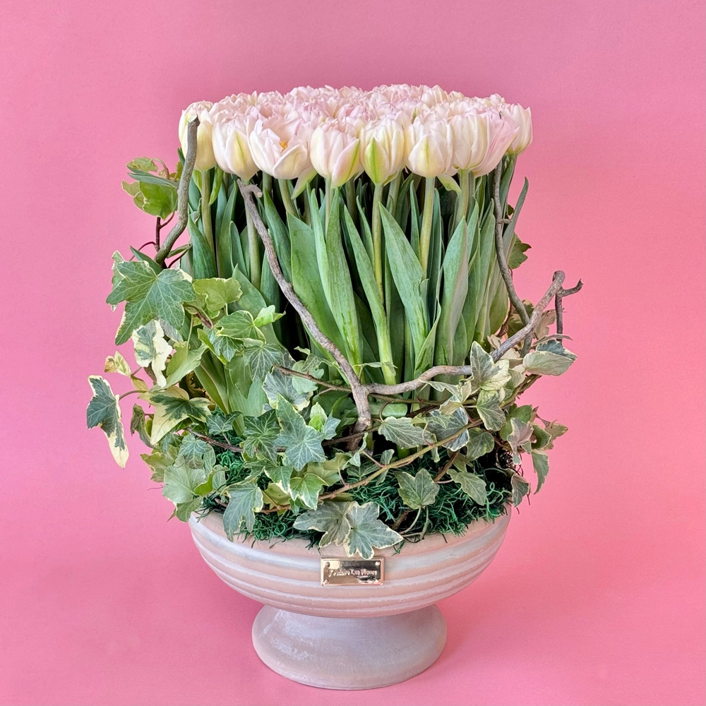 Standing Tulip Melody