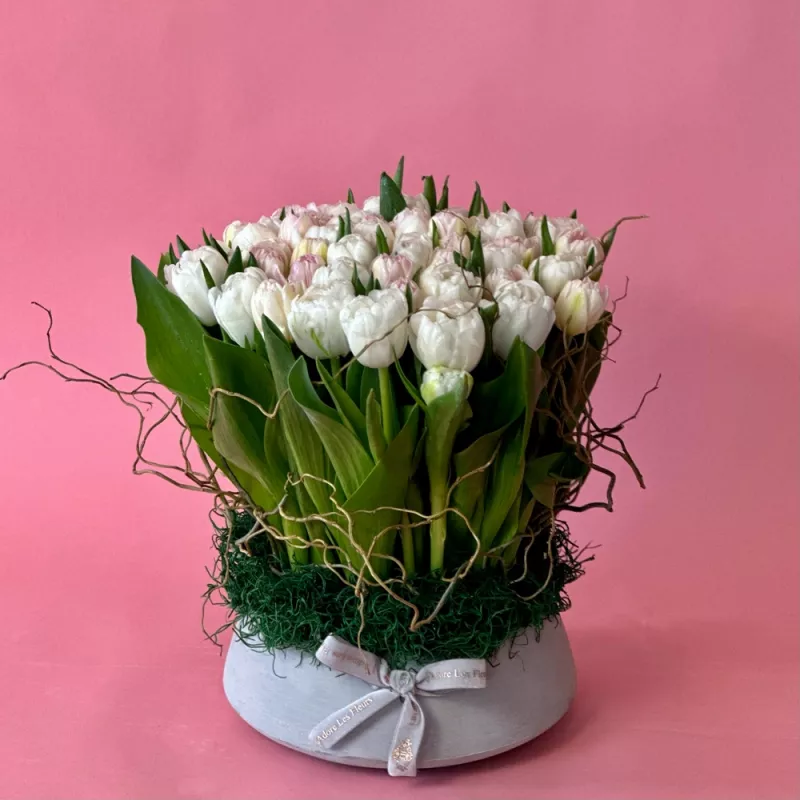 Jadore Standing Tulip Melody