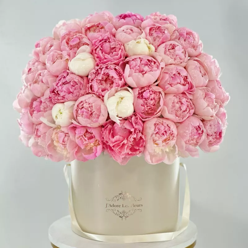 Jadore Just JLF Peonies