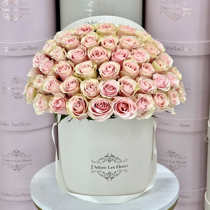 Jadore Signature Parisian Pink Roses