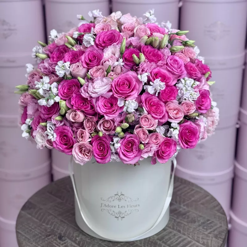 Jadore Pink Celebration