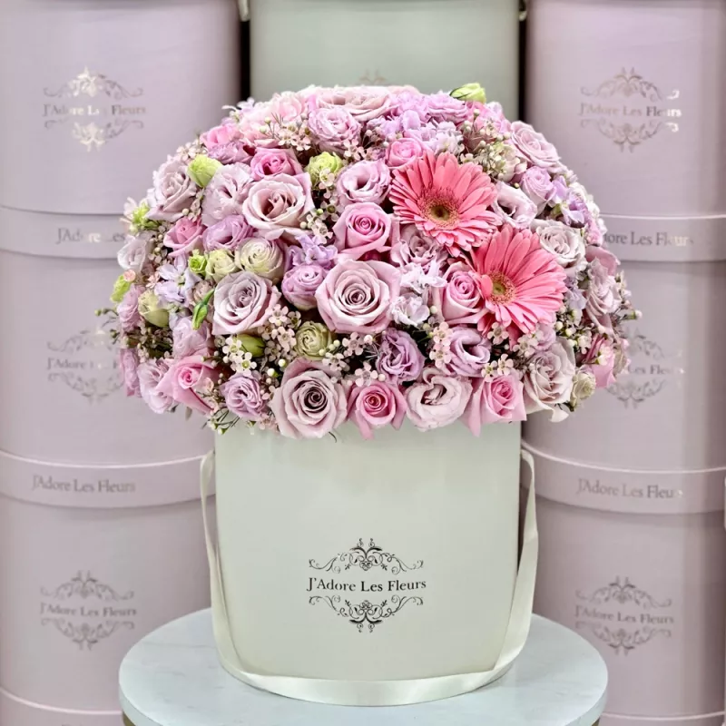 Jadore Gorgeous in Blush