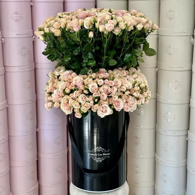 Jadore Grand Jumbo Box and Standing Roses