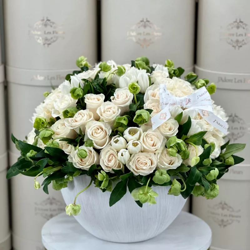 Jadore Nights in Rome