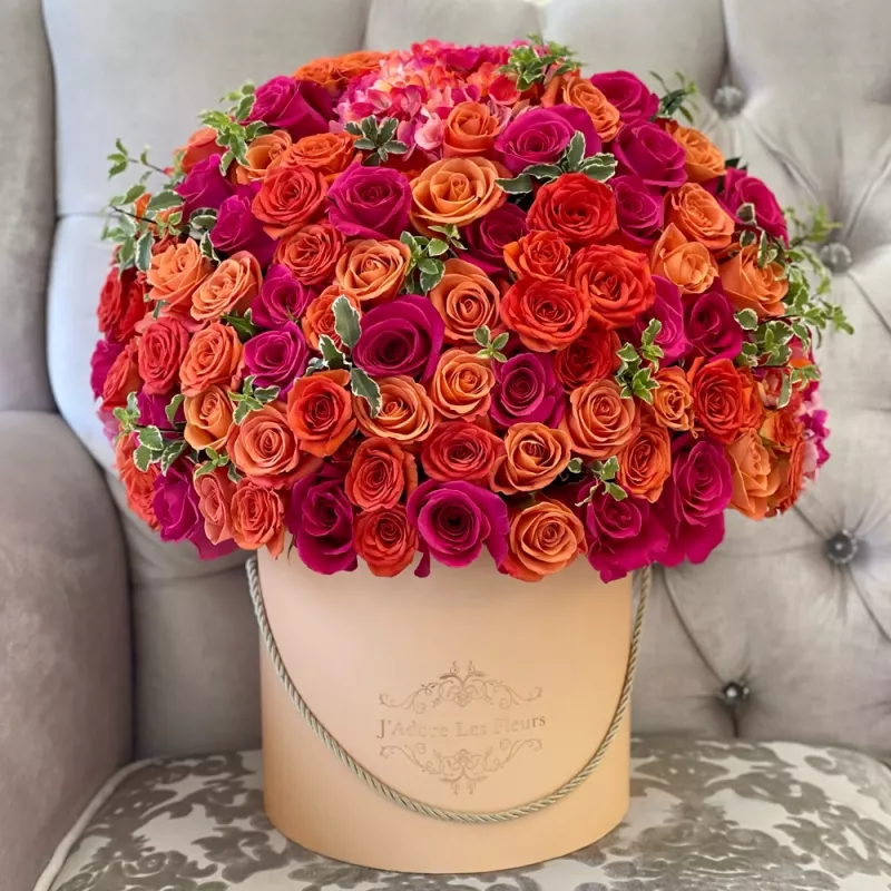 Jadore Coucher de Soleil