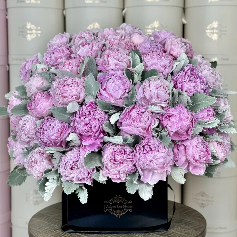 Jadore Grand Peonies in Large Square Box