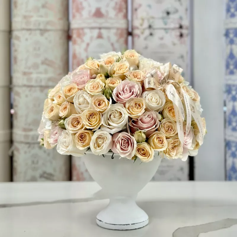 Jadore Soft Elegance