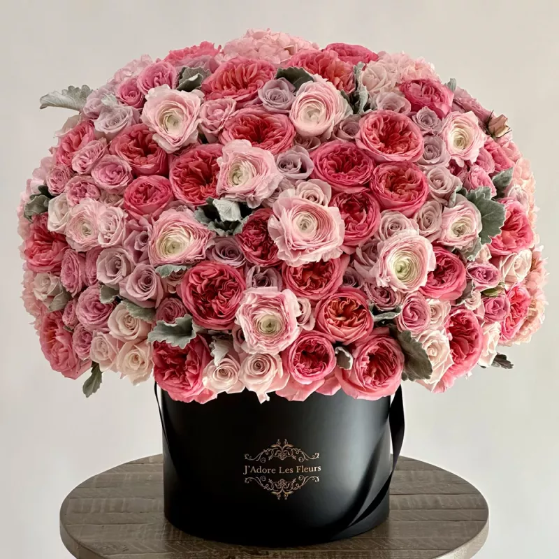 Jadore Charmes du Jardin