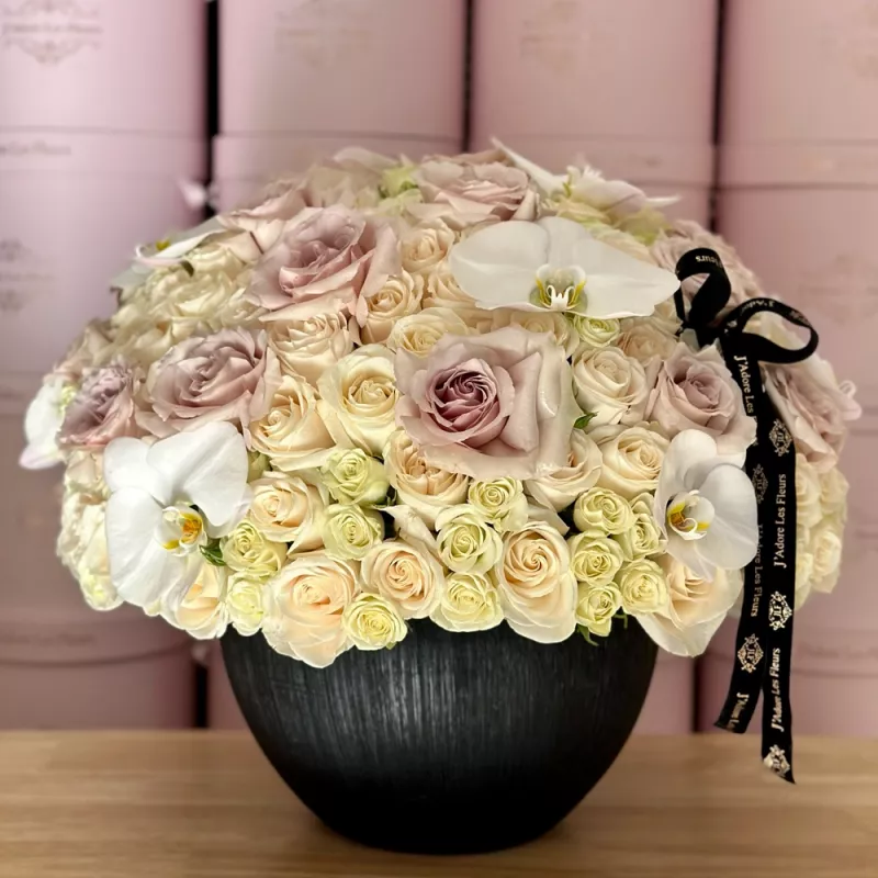 Jadore Black Elegance