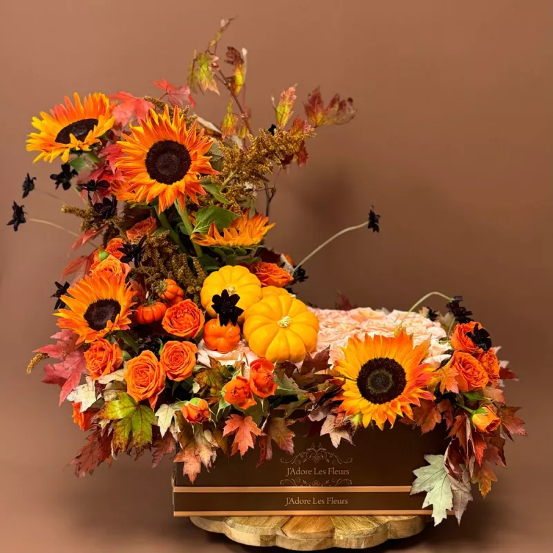 Jadore Soleil Moderne