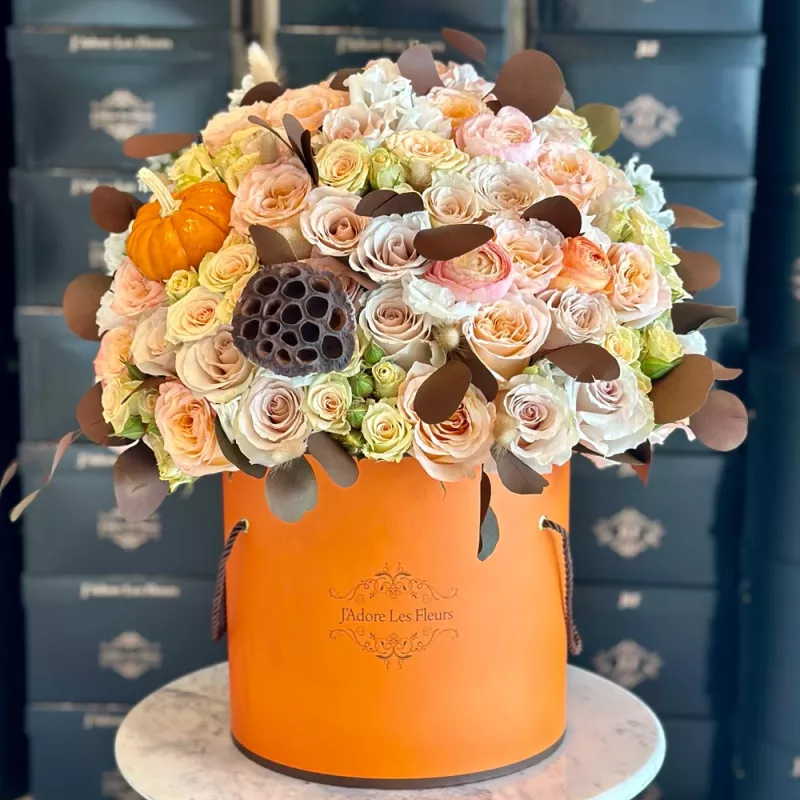 Jadore Brise d’Abricot