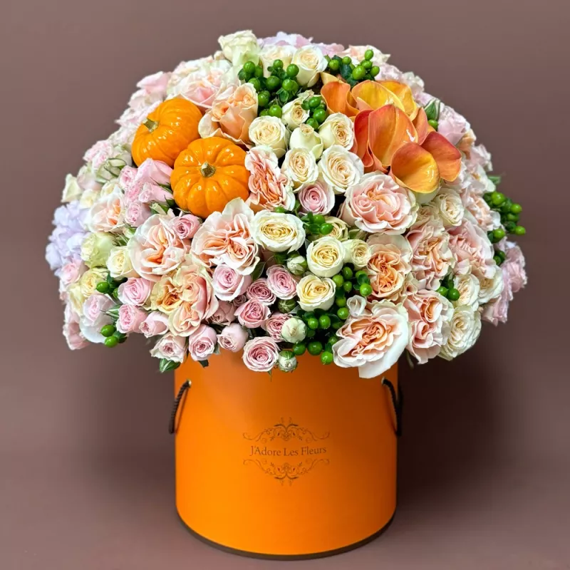 Jadore Carrosse d'Automne