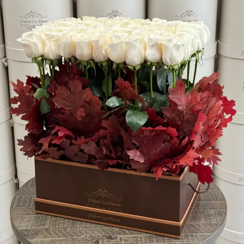 Jadore Érigées d'Automne