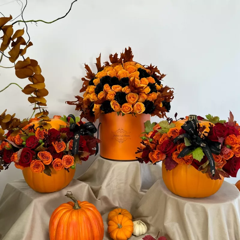 Jadore Harvest Trio Elegance