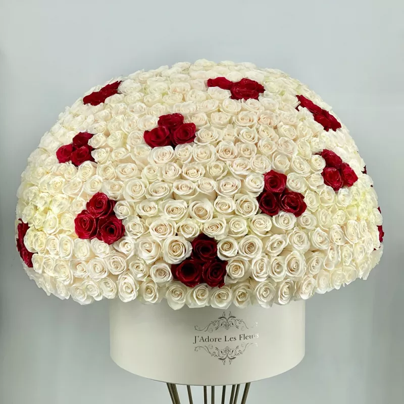 Jadore 300 Red and White Roses in Grandiose Box