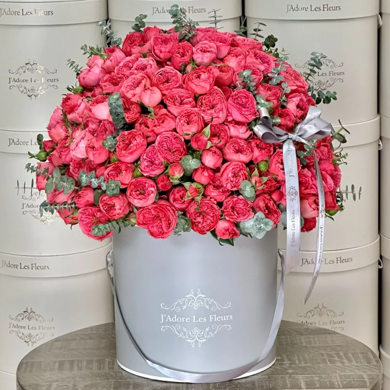 Jadore Thinking of You