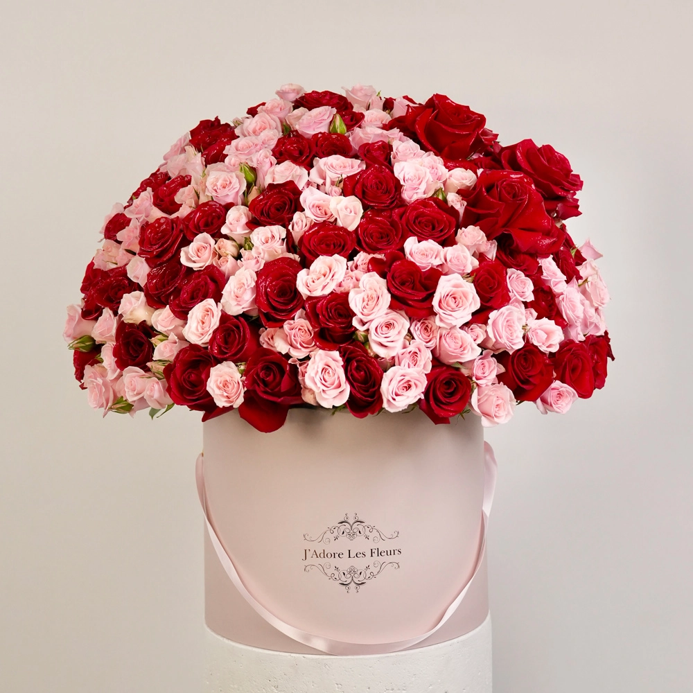 Sweetheart's Embrace