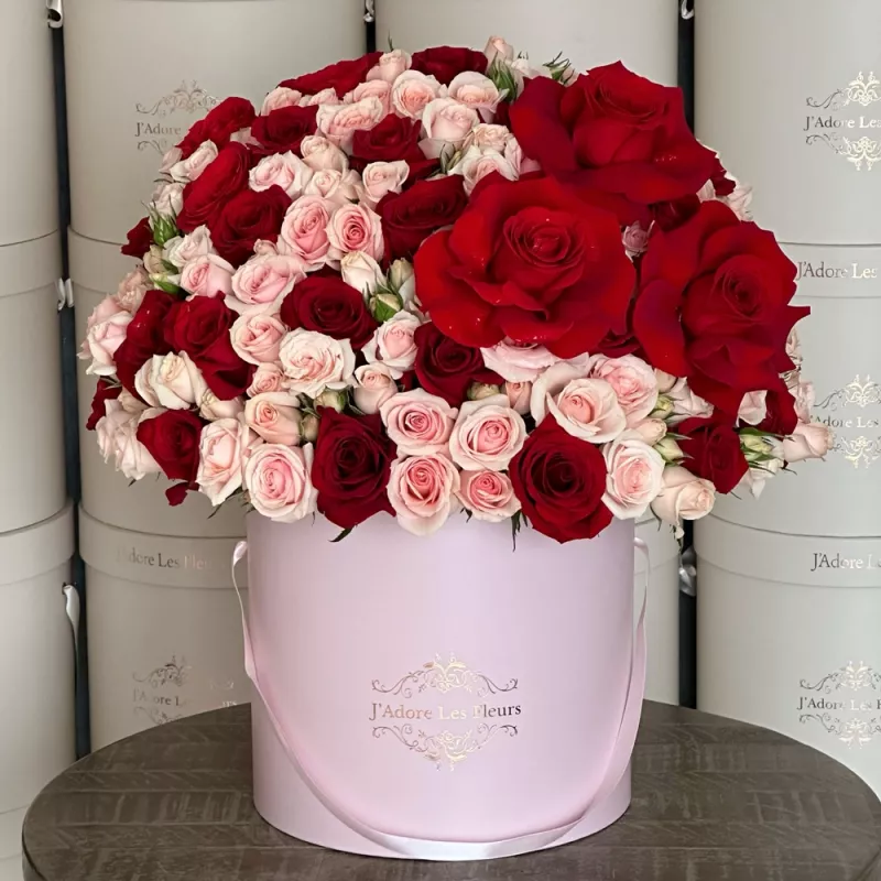 Jadore Sweetheart's Embrace