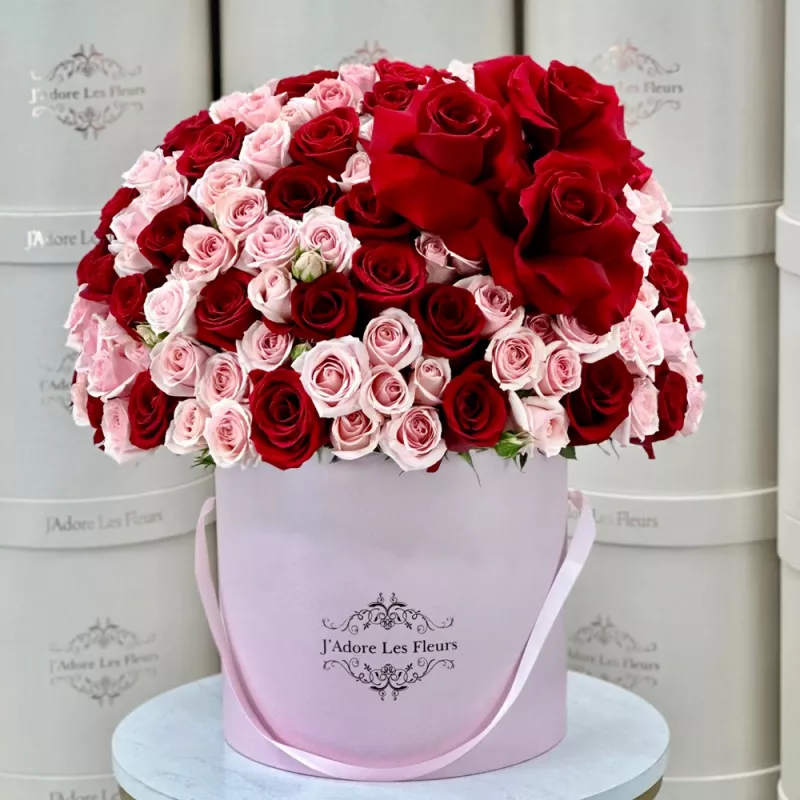 Jadore Sweetheart's Embrace