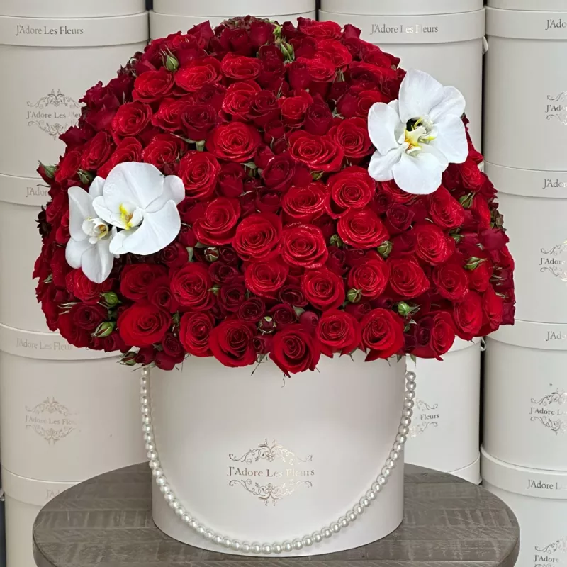 Passionate About You - JLF Las Vegas Florist