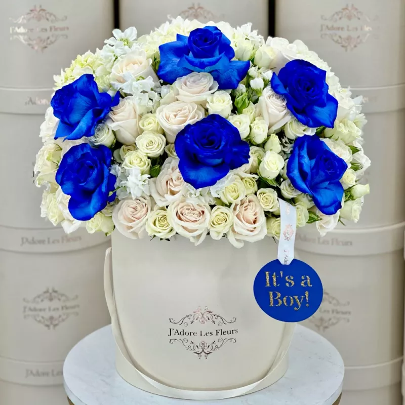 Jadore Baby Boy Bloom Fleurs