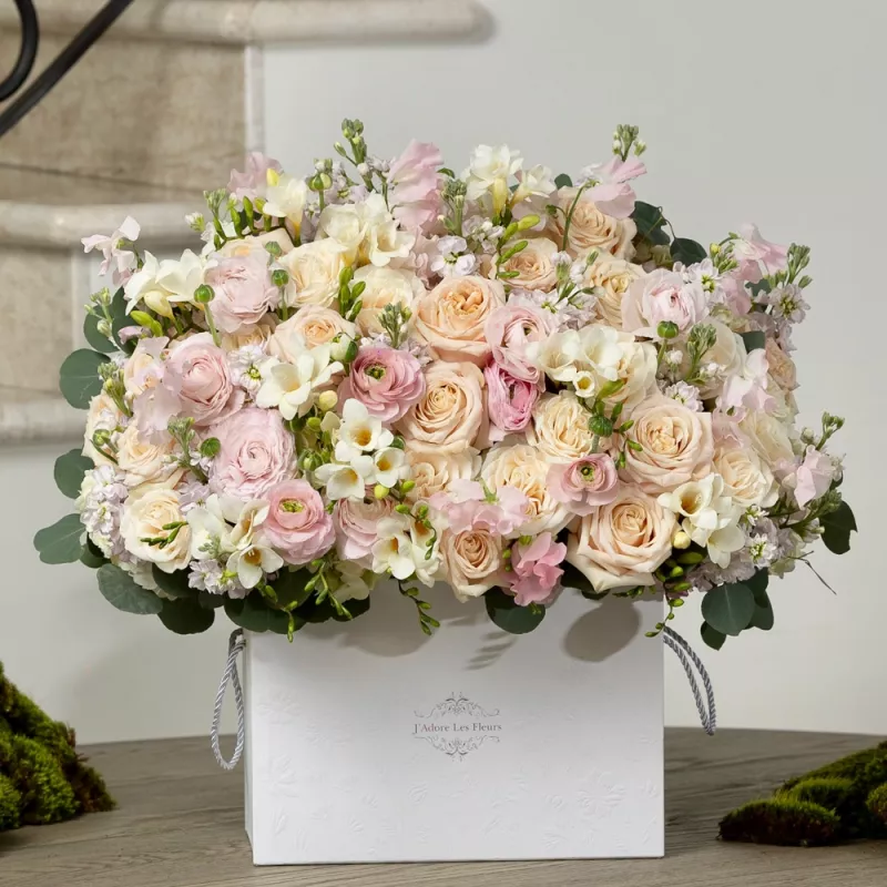 Jadore Morning in Springtime