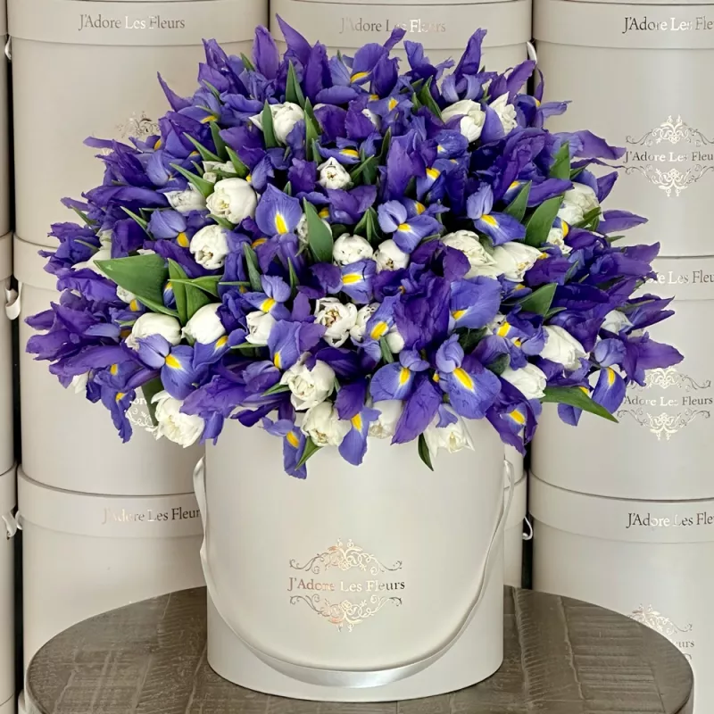 Jadore Iris and Tulips Heaven