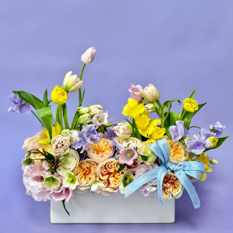 Jadore Nowruz Celebration