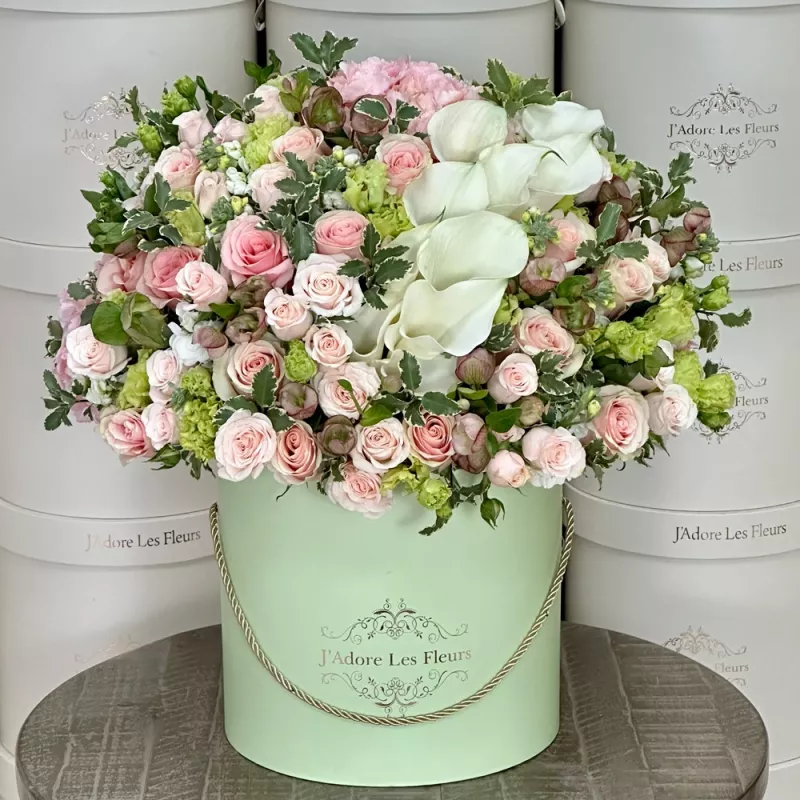 Jadore Calla Lily Love