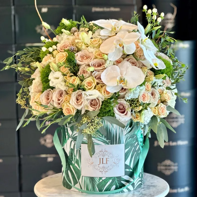 Jadore Going To Miami