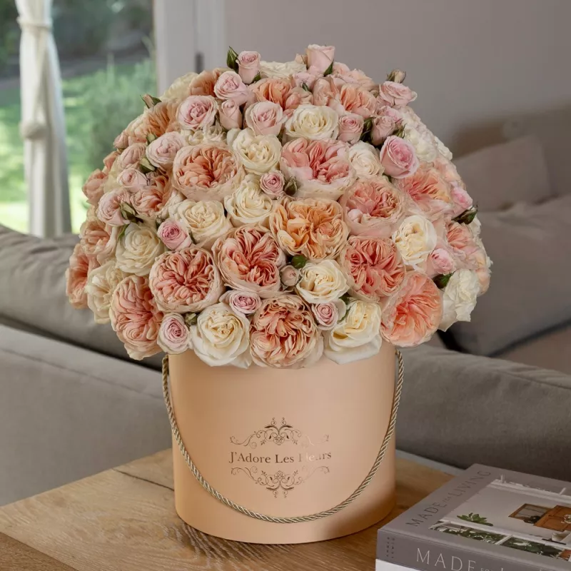 Jadore Pretty & Peach