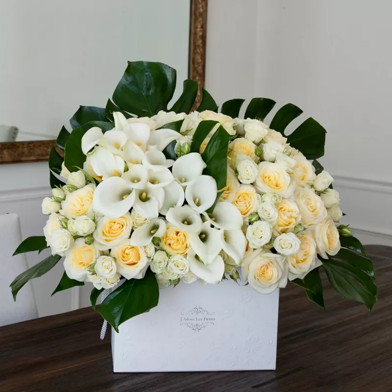 Jadore Golden Morning