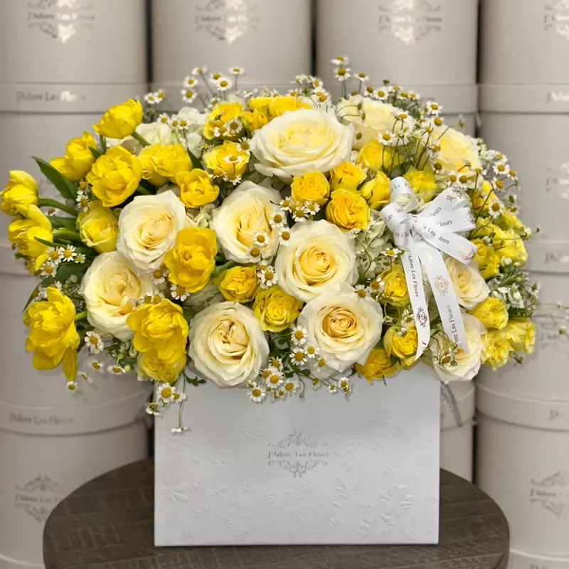 Jadore Petals in the Sun