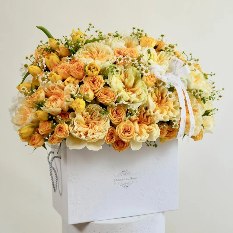 Jadore Petals in the Sun