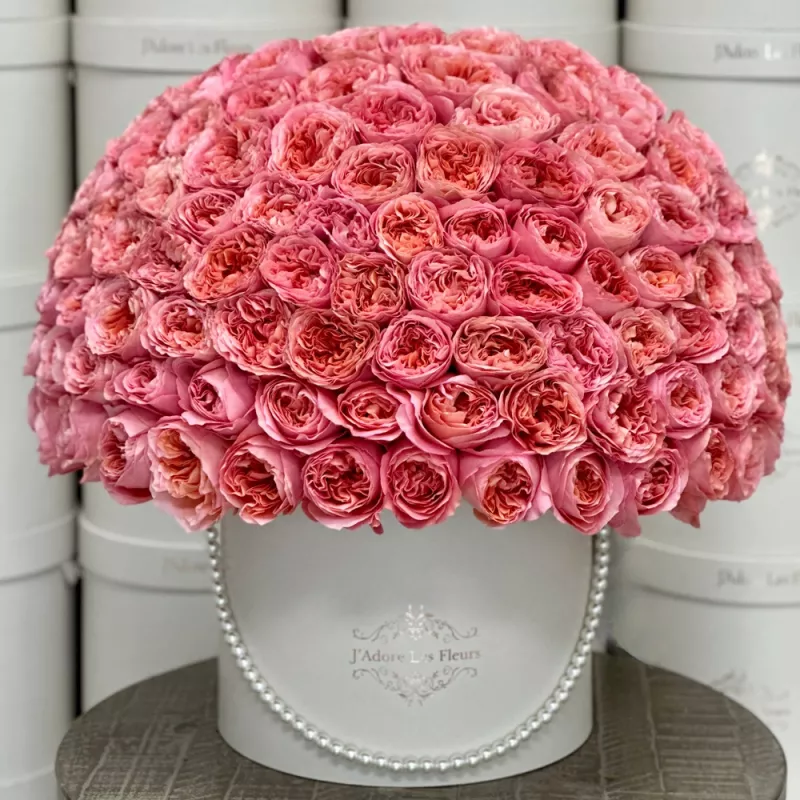 Garden Rose Empress - JLF Los Angeles Florist