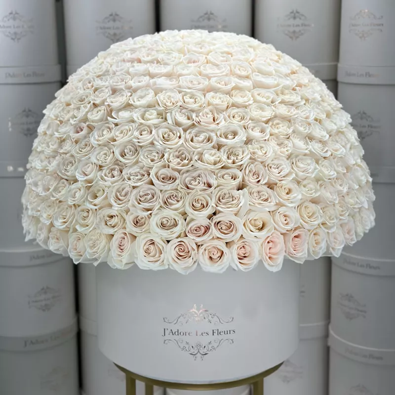 Jadore 300 Roses in Grandiose Box