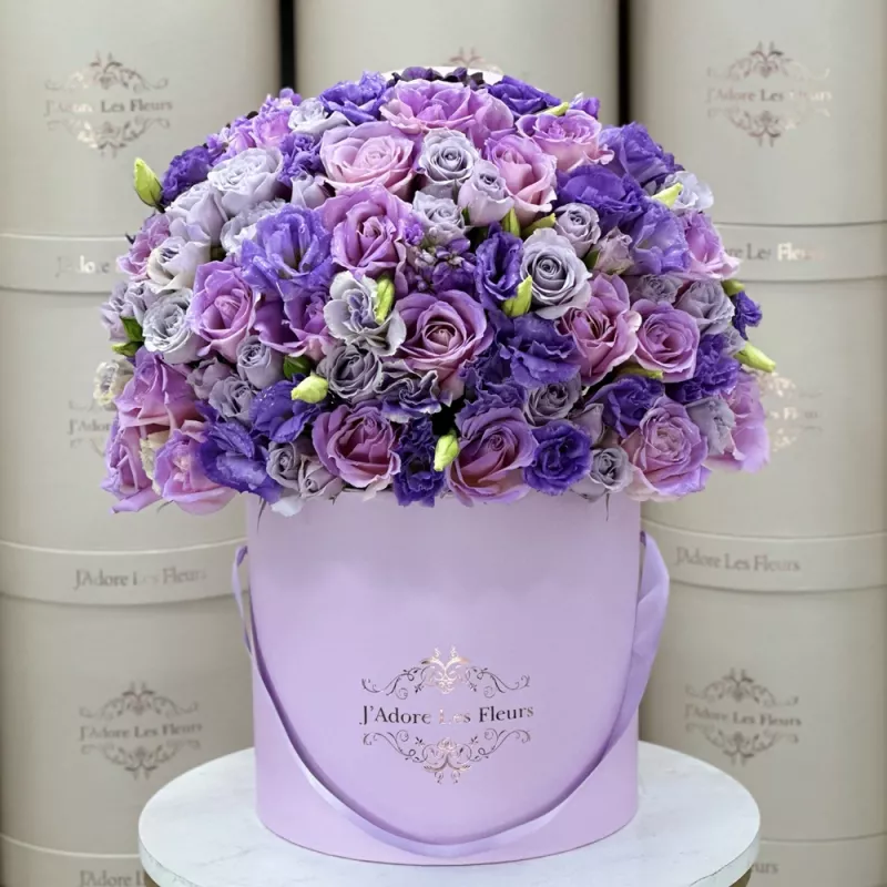 Jadore Purple Potion