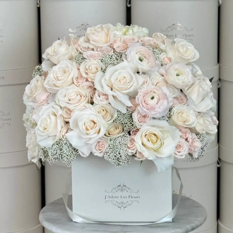 Jadore As Elegant As Can Be