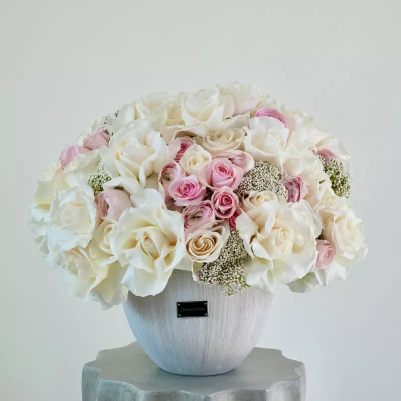 Jadore Blush Cloud