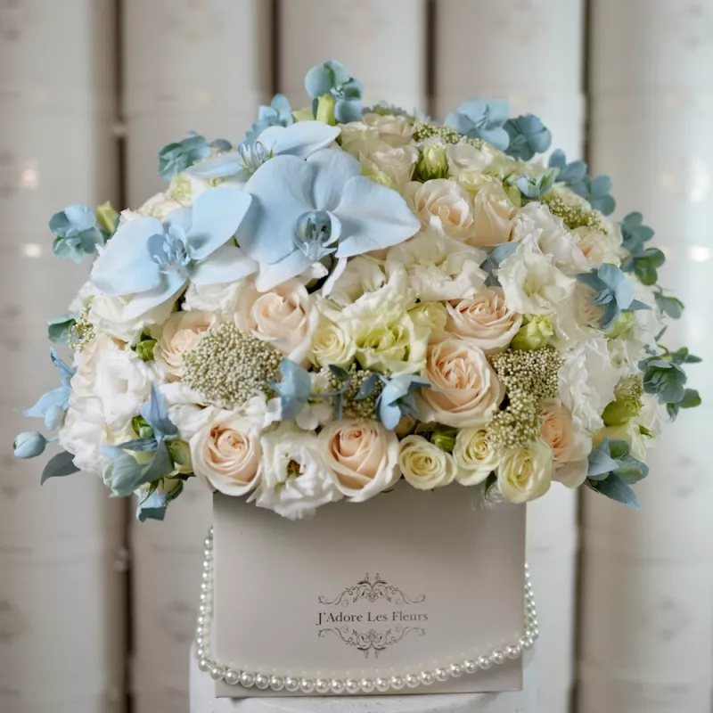 Jadore Little Prince