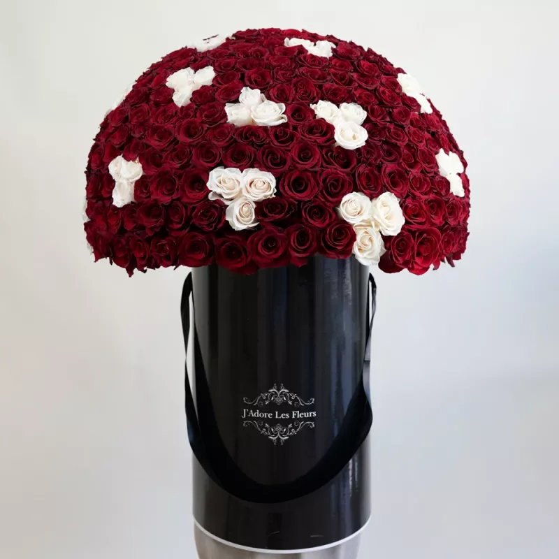 Jadore Anniversary Luxury Roses in Jumbo Box